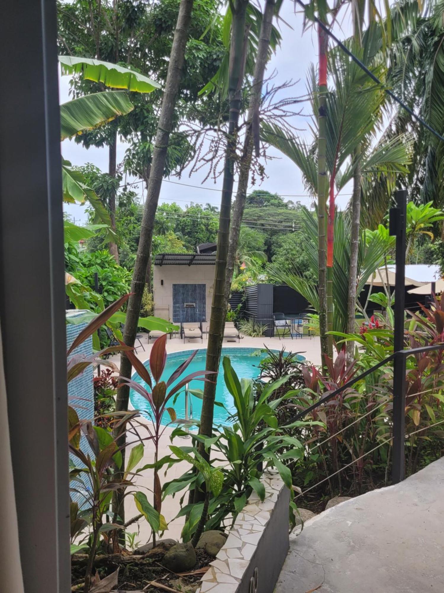 Tico Tico Villas - Adult Only Manuel Antonio Esterno foto